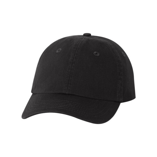 Copy of Youth Small Fit Bio-Washed Dad Hat Thumbnail