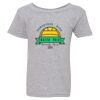 Heavy Cotton Toddler T-Shirt Thumbnail